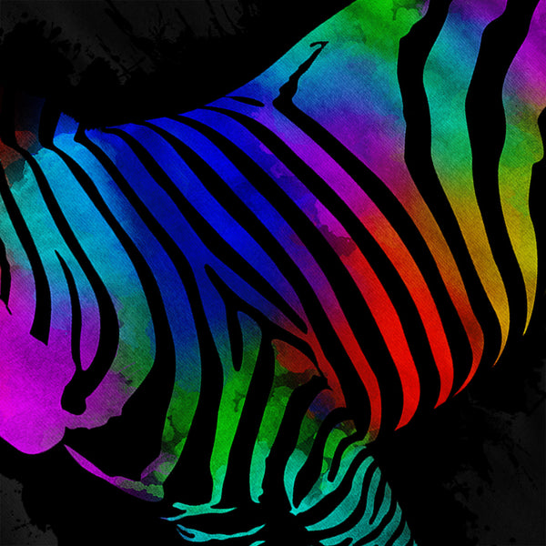 Wild Rainbow Zebra Mens Hoodie