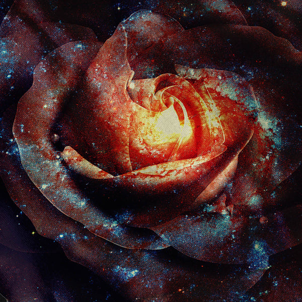 Rose Head Universe Mens Hoodie