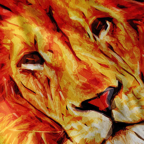 Jungle Lion Big Face Mens Hoodie