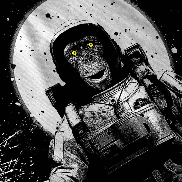 Space Monkey Moon Womens T-Shirt
