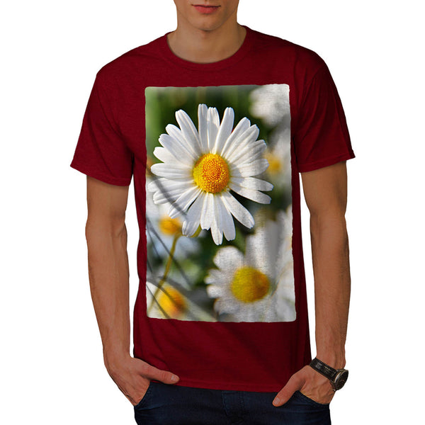Camomile Flower Mens T-Shirt