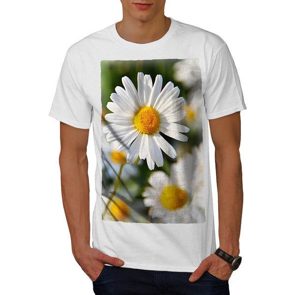 Camomile Flower Mens T-Shirt
