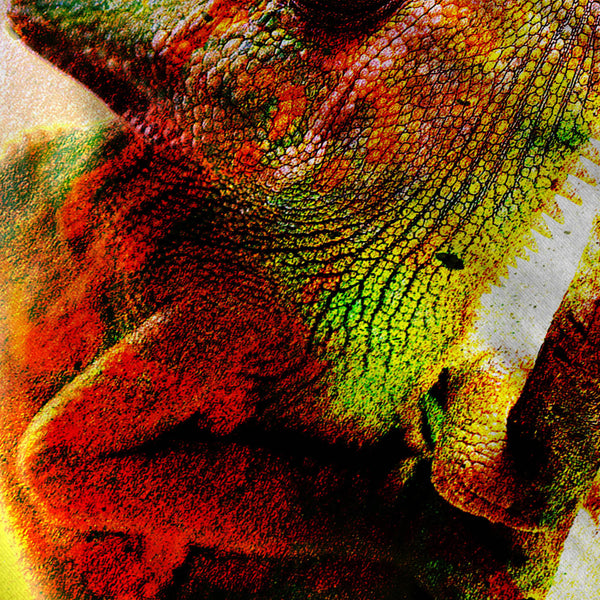Colorful Chameleon Mens T-Shirt
