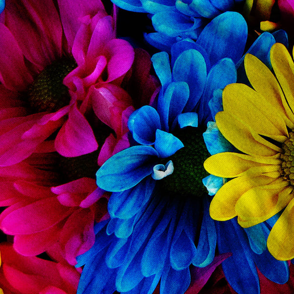 Colorful Flowers Mens T-Shirt