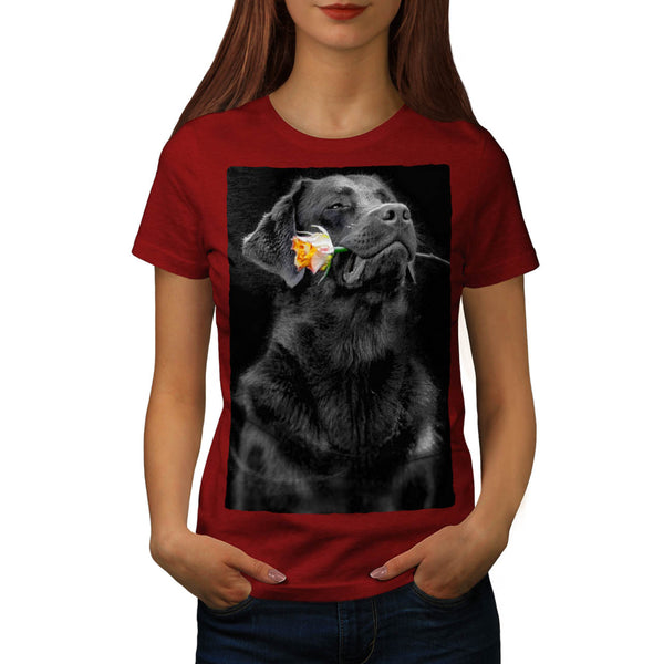 Labrador Hold Rose Womens T-Shirt