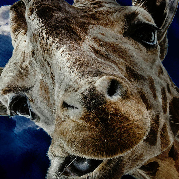 Funny Giraph Mouth Mens T-Shirt