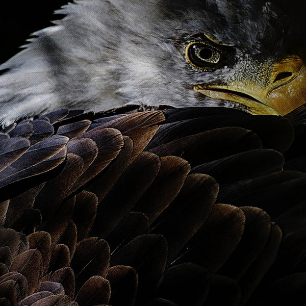 Cool Eagle Look Mens T-Shirt