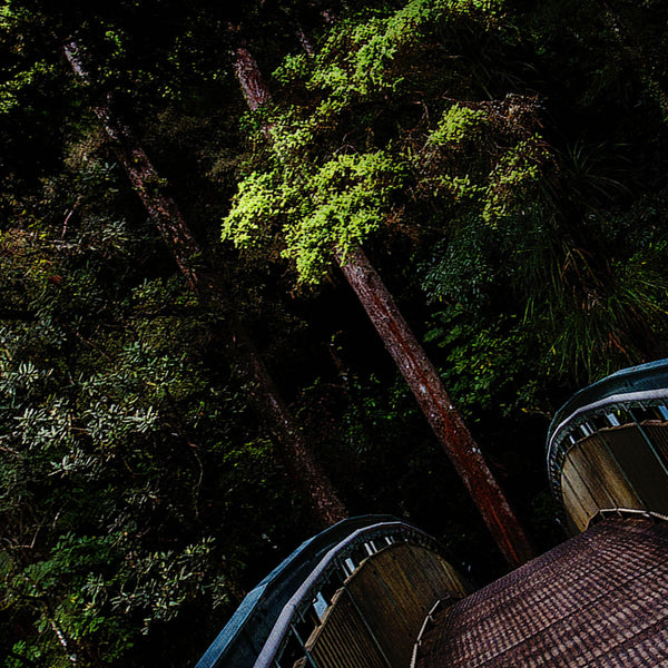 Modern Forest Bridge Mens T-Shirt