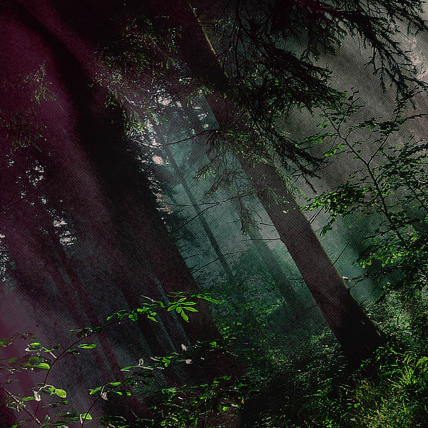 Deep Dark Forest Mens T-Shirt