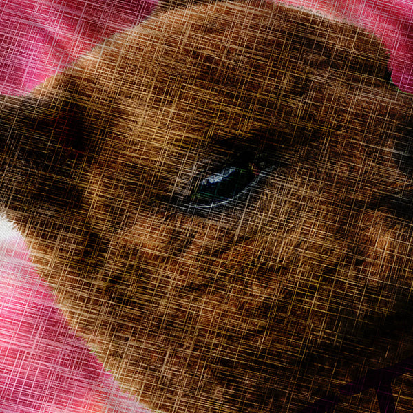 Furry Llama Face Eyes Mens T-Shirt