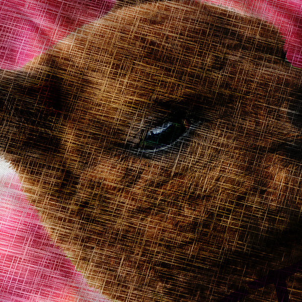 Furry Llama Face Eyes Womens Hoodie