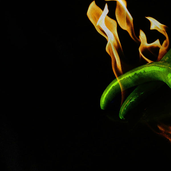 Burning Chili Pepper Mens T-Shirt