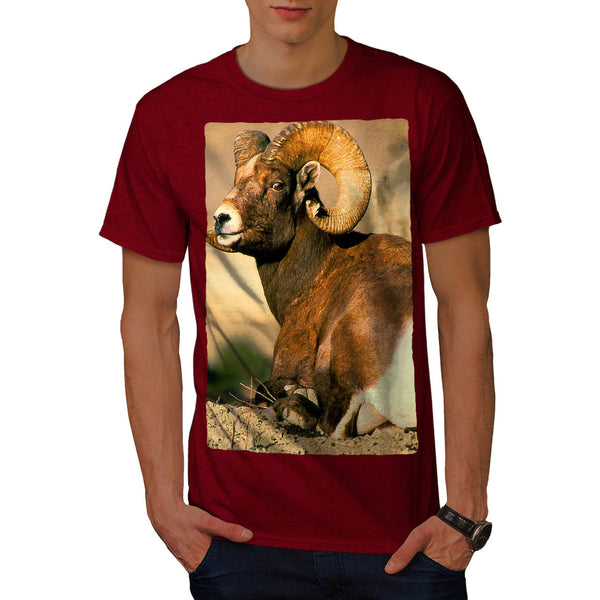 Mountain Sheep Mens T-Shirt