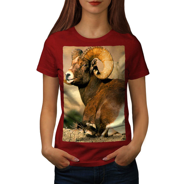 Mountain Sheep Womens T-Shirt