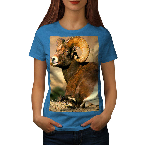 Mountain Sheep Womens T-Shirt