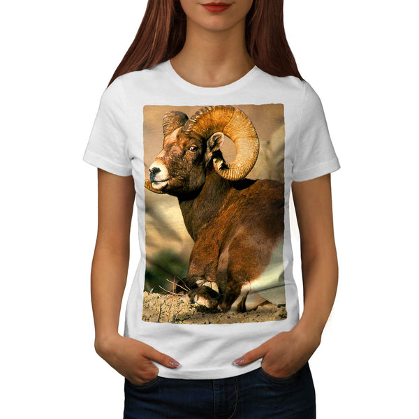 Mountain Sheep Womens T-Shirt