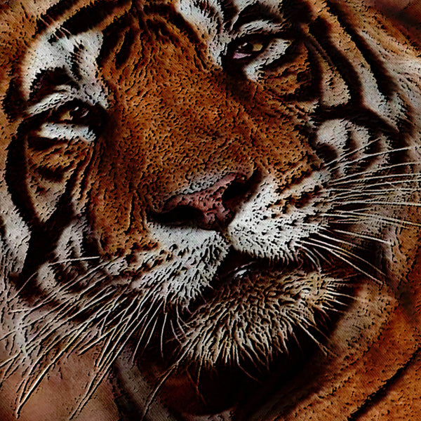 Relaxing Tiger Womens T-Shirt