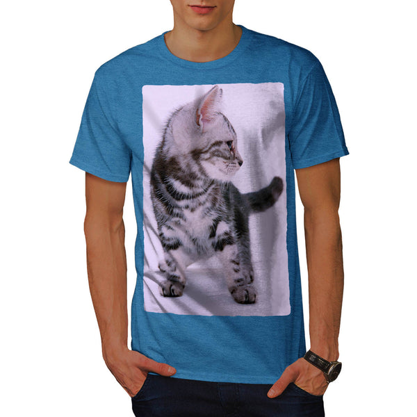 Adorable Kitten Mens T-Shirt
