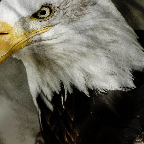 Majestic Bold Eagle Mens T-Shirt