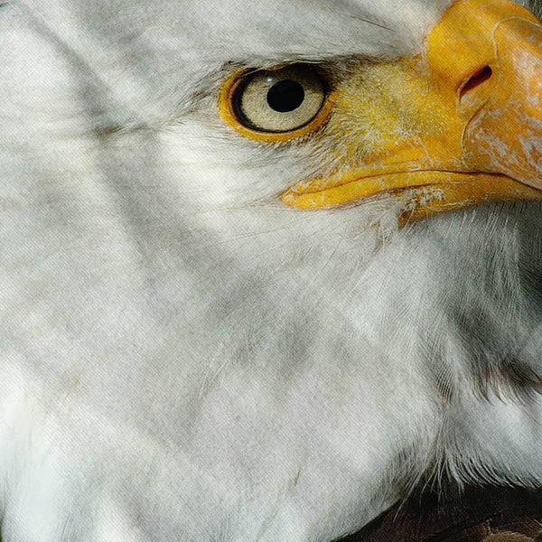 Eagle Head Look Front Mens T-Shirt
