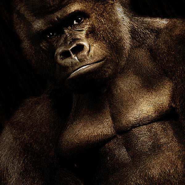 Gorilla Strong Body Mens T-Shirt