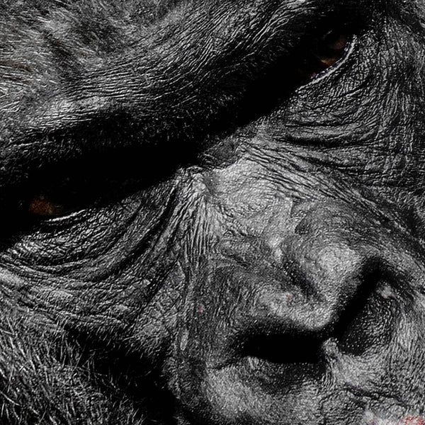 Mean Gorilla Monkey Mens T-Shirt