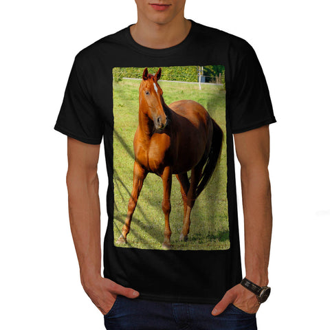Majestic Horse Mens T-Shirt