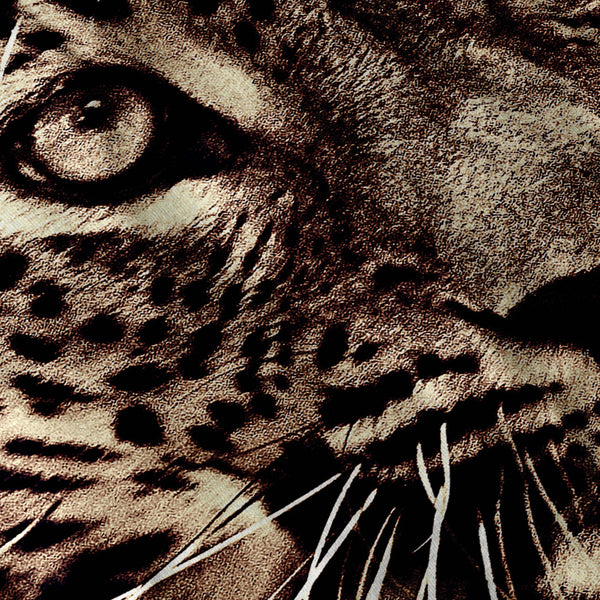Eyes Of The Jaguar Mens T-Shirt