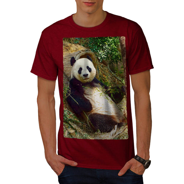 Bear Panda Chill Mens T-Shirt