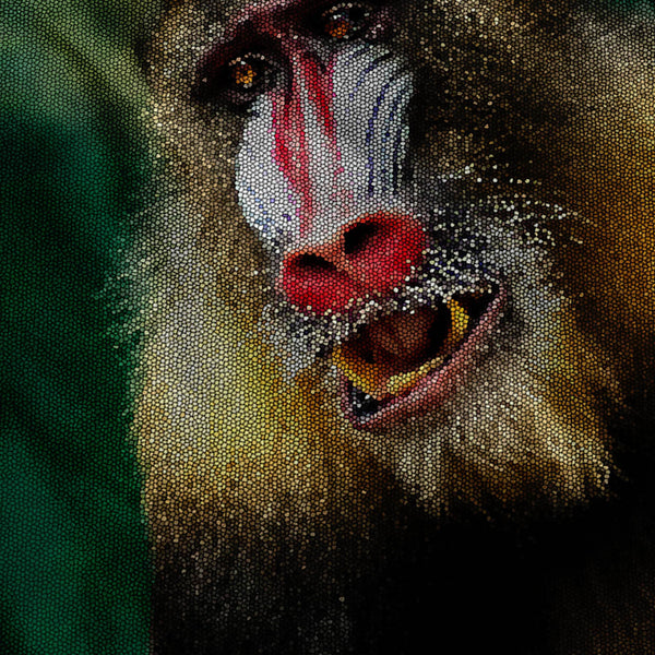 Baboon Monkey Look Mens T-Shirt