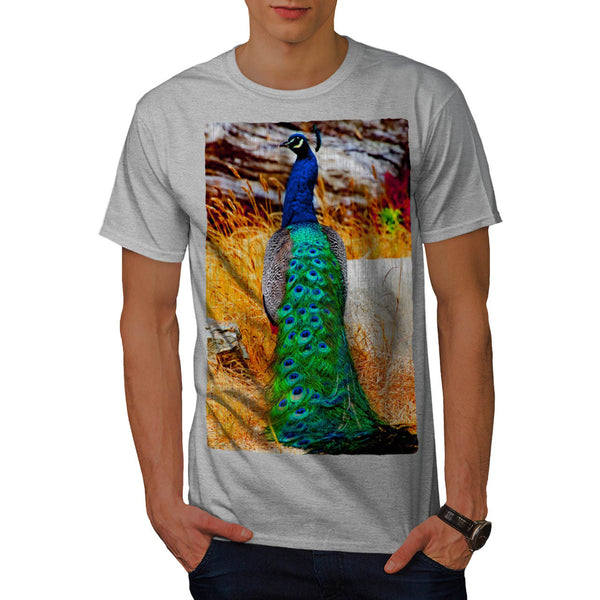 Beauty Of Peacock Mens T-Shirt