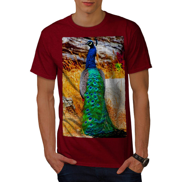 Beauty Of Peacock Mens T-Shirt