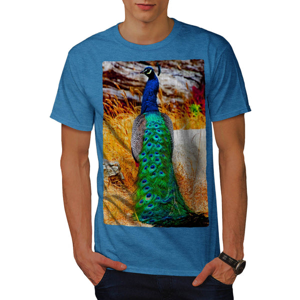 Beauty Of Peacock Mens T-Shirt