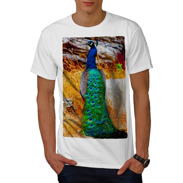 Beauty Of Peacock Mens T-Shirt