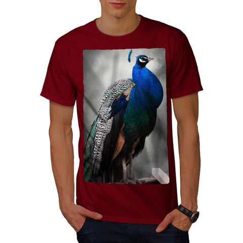 Beautiful Bird Peacock Mens T-Shirt