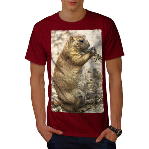 Chipmunk Eating Food Mens T-Shirt