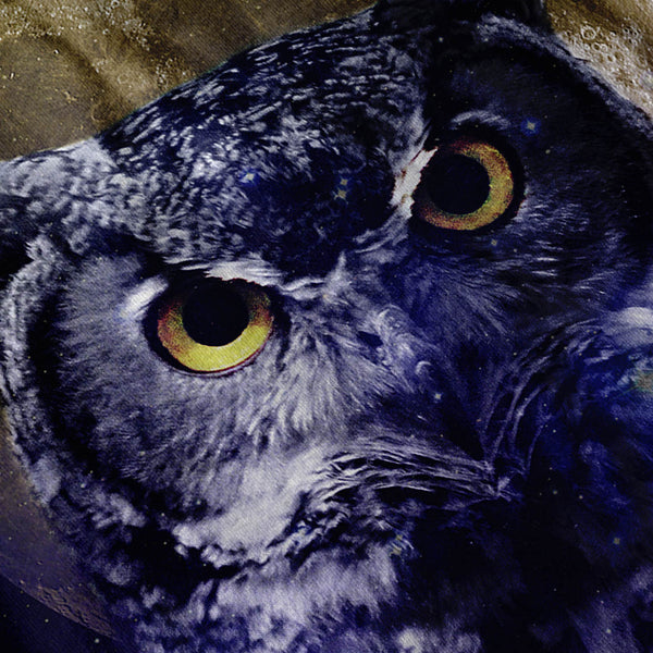 Owl Darkness Bird Womens Hoodie