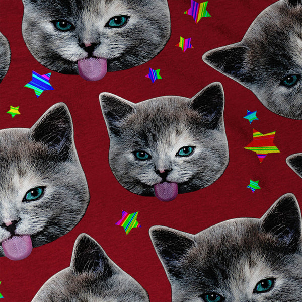 Funny Cat Kitten Womens T-Shirt
