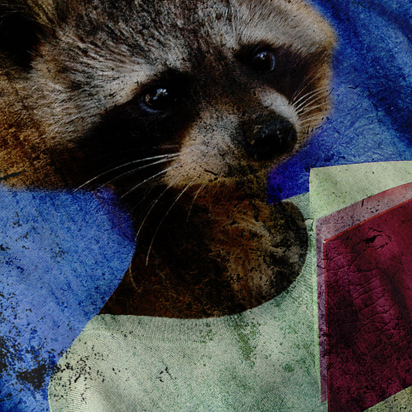 Lady Racoon Book Womens Hoodie