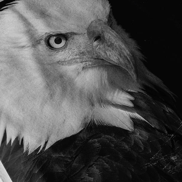 Apparel Eagle Photo Mens T-Shirt