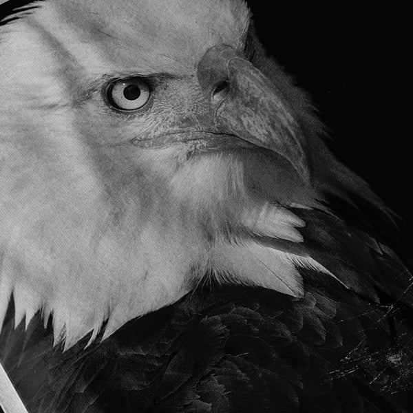 Apparel Eagle Photo Womens Hoodie