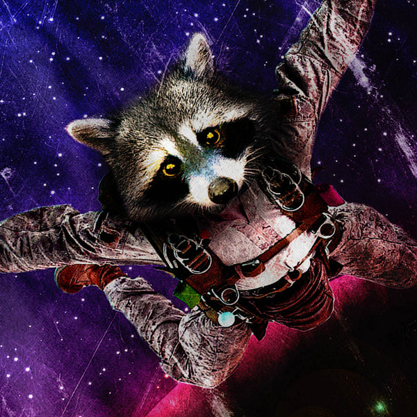 Space Racoon Animal Womens Hoodie
