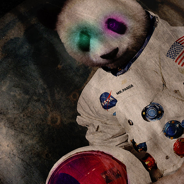 Panda Astronaut Fun Womens Hoodie