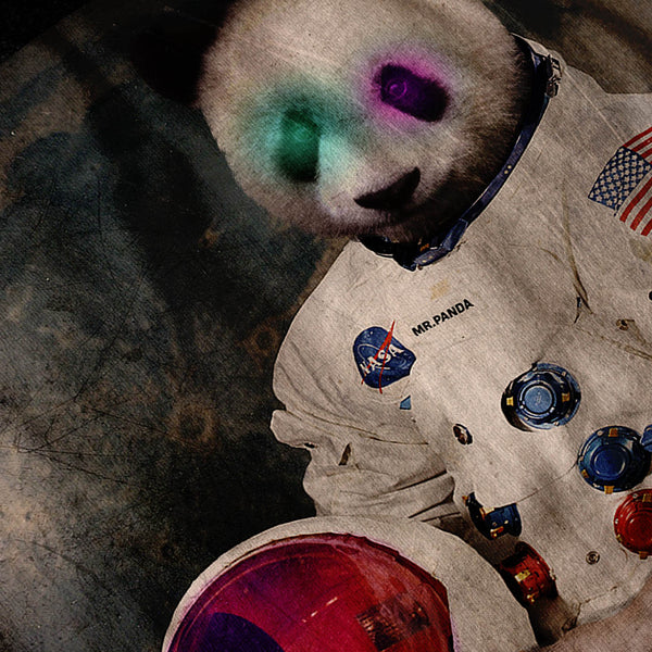 Panda Astronaut Fun Mens T-Shirt