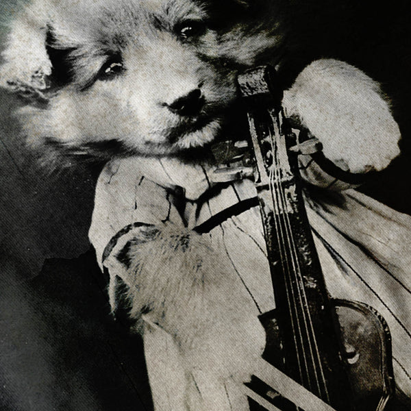 Vintage Dog Violin Womens Hoodie