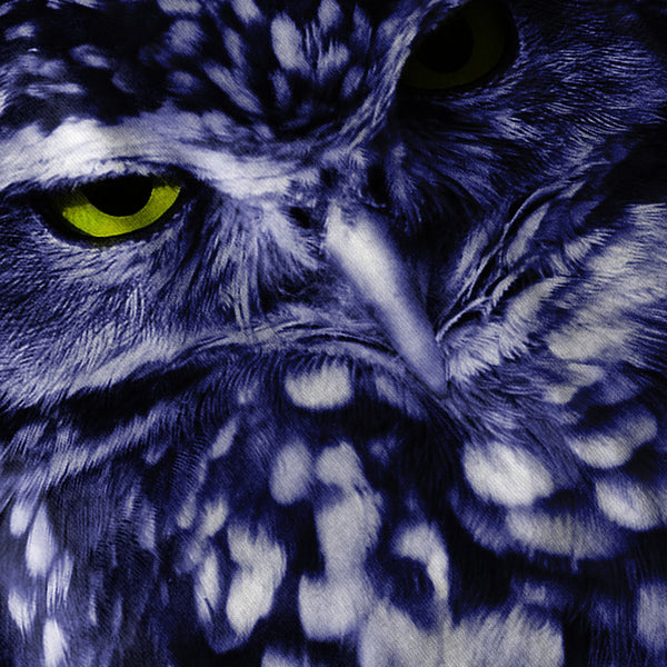 Night Creature Owl Womens Hoodie