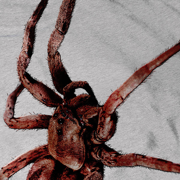Spider Hunt Crawl Womens T-Shirt