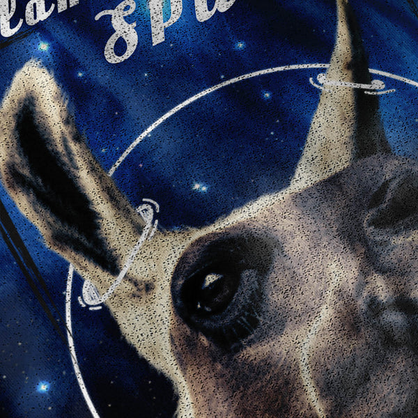 Lama Love Space Fun Mens Hoodie
