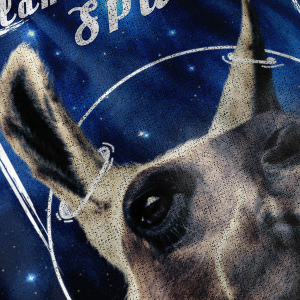 Lama Love Space Fun Mens T-Shirt