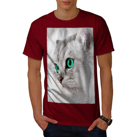 Cute Looking Kitten Mens T-Shirt